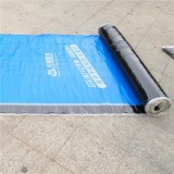 Polyester Reinforced Self-adhesive Bituminous Roll Material