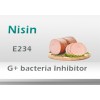 NISIN E234