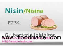 NISIN E234 | Manufacturer from China