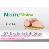 NISIN E234 | Manufacturer | Anti-gram+ preservative