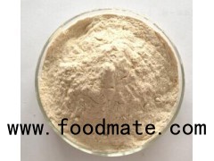 Brown Rice Protein rich in stock