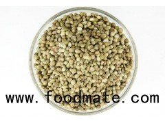 Hemp Protein rich in stock