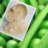 Pea protein rich in stock