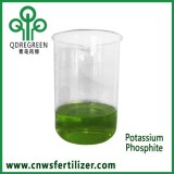 Liquid Potassium Phosphite Chelated Copper Fertilizer For Turf And Plant Defense