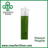 Potassium Phosphite Solution Fertilizer For Phosphorus Deficiency In Plants Nutrients