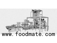 Fully Automatic Packaging Line China