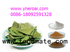 Lotus Leaf Extract Nuciferine