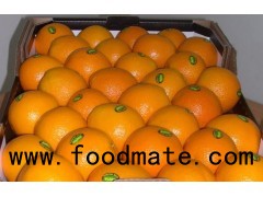 Fresh Oranges Navel and Valencia