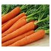 Fresh Carrot