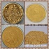 nutritional raw powder holy thistle extract silymarin 50%