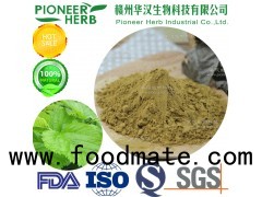 Mulberry leaf extract 1-DNJ 1-Deoxynojirimycin manufacturer