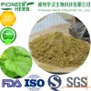 Mulberry leaf extract 1-DNJ 1-Deoxynojirimycin manufacturer