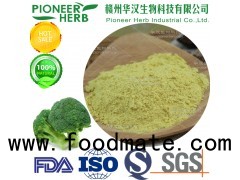 sulforaphane broccoli seed extract broccoli extract broccoli sprout extract manufacturer