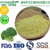 sulforaphane broccoli seed extract broccoli extract broccoli sprout extract manufacturer