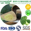 glucoraphanin broccoli extract broccoli seed extract sulforaphane glucosinolate