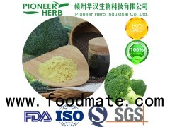 broccoli seed extract sulforaphane broccoli extract broccoli sprout extract manufacturer