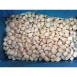 IQF Vegetable Frozen Garlic Cloves Diced Past