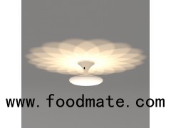 Hanging LED Light Decorative Pendant Ceiling Lamp