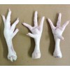 Grade A Processed Frozen Chicken Feet/Paws for sale. / Frozen Chicken Feet/Paws