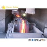 Heat Resistant Conveyor Belt