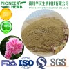 rose extract rose flavones rose flavonoids