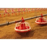 Poultry Chicken Broiler Farming Automatic Pan Feeding Line