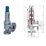 Closed Spring Low Lift Safety Valve