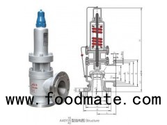 Spring Full Open Safety Valve With Radiator