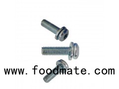 Stainless Steel Cinquefoil Pan Head Screws