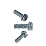 Stainless Steel Cinquefoil Pan Head Screws