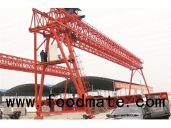 The Electric Hoist Gantry Crane