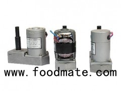 Supply VBI/VS1 Mechanism Supporting Permanent Magnet DC Gear Deceleration Motor