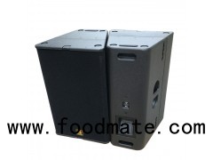 T24N Dual 12 Inch Loudspeaker With Excellent Speech Intelligibility And Musicality