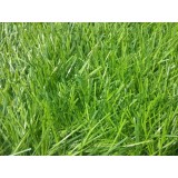 40mm Pile Height Artificial Turf/grass for Football Fields