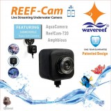 Most Popular Reliable Submersible and Quality WiFi Aquarium Camera for Professional Hobbyist