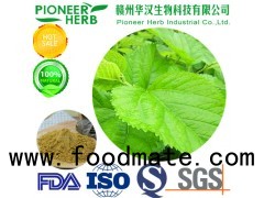 100% natural 1-DNJ Mulberry leaf extract manufacturer