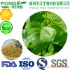 weight loss material 1-DNJ Mulberry leaf extract manufacturer