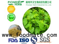 great quality 1-DNJ Mulberry leaf extract with cheaper price