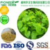 great quality 1-DNJ Mulberry leaf extract with cheaper price