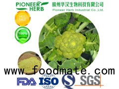 sulforaphane broccoli extract widely used in nutritional supplement