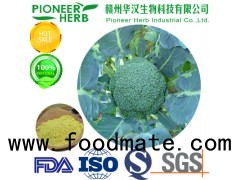 great quality broccoli extract sulforaphane powder with cheaper price