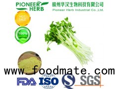 professional manufacturer of broccoli sprout extract sulforaphane with 10 year's experience