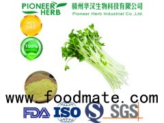 professional manufacturer of broccoli sprout extract sulforaphane with 10 year's experience