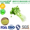 professional manufacturer of broccoli sprout extract sulforaphane with 10 year's experience