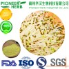 great anti-oxidant broccoli sprout extract sulforaphane factory