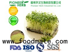 strong detoxification material broccoli sprout extract sulforaphane factory