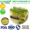 strong detoxification material broccoli sprout extract sulforaphane factory