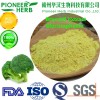 popular cosmetics material sulforaphane for anti-UV and anti-light aging