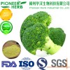 100% natural sulforaphane extract from broccoli broccoli seed planted on our own GAP planting base