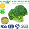 natural broccoli extract sulforaphane has strong anti-oxidation and detoxification